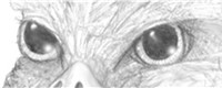Ka's pencilwork is something to be in awe of. My only nitpick with this piece of art is that my eyes are not diamond-shaped.